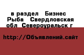  в раздел : Бизнес » Рыба . Свердловская обл.,Североуральск г.